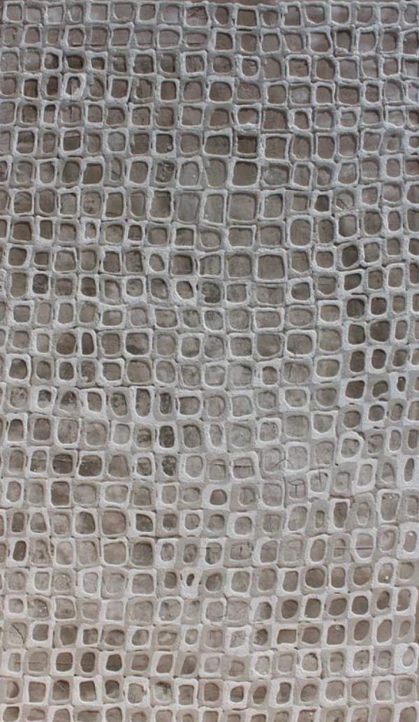 Adalina Coromines, XARXA, 2016