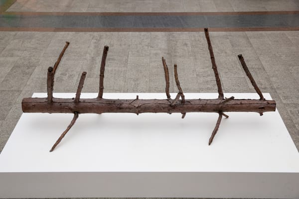 Anna Titova, Byrbyrbyrbyr, 2019