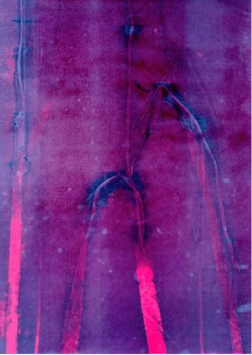 Mika Plutitskaya, Variations: Purple '04, 2025