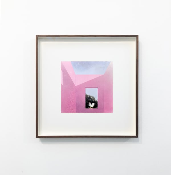 Dima Rebus, December, 2023