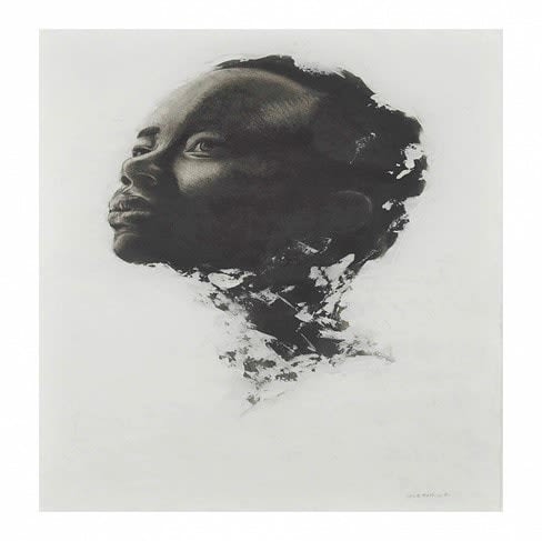 Steve Maphoso, Vision