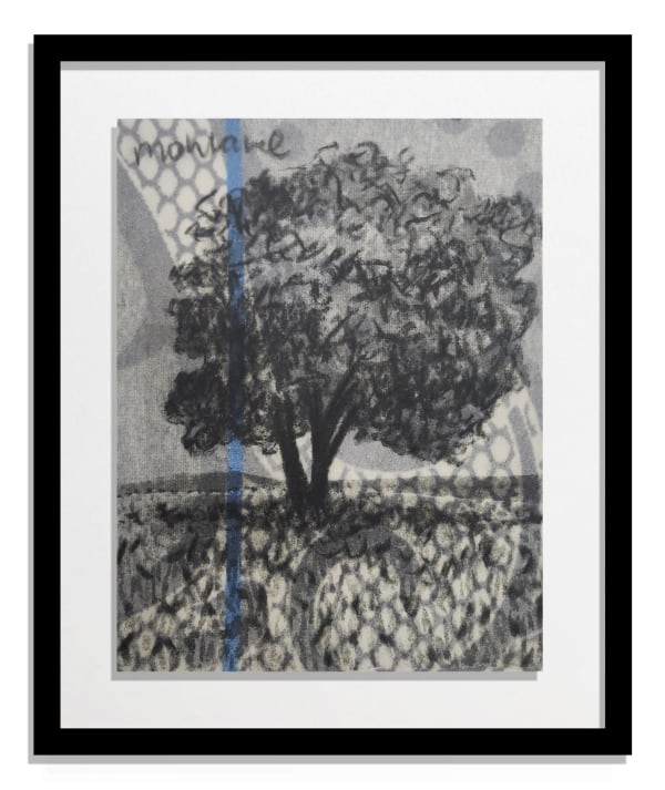 Frans Thoka, Mohlare, 2023