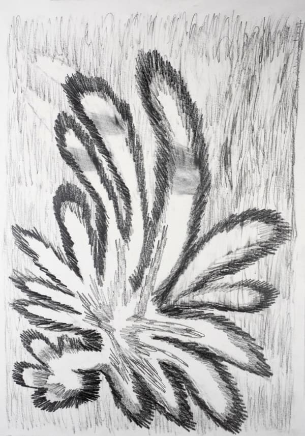 Luís Silveirinha, Marshland #16, 2019