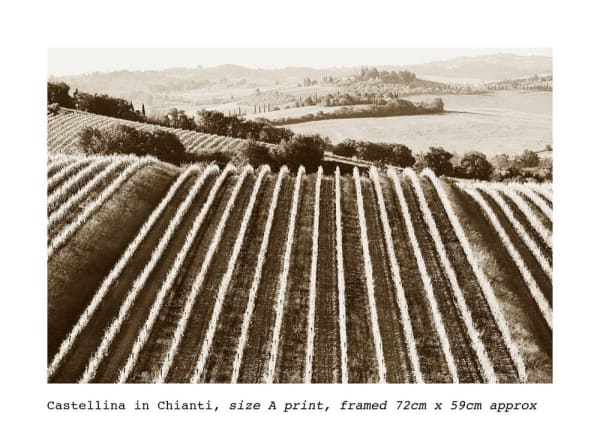 Stuart Redler, Castellina in Chianti, Tuscany, Italy