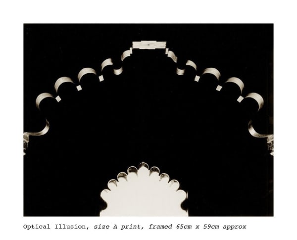 Stuart Redler, Optical Illusion Rajasthan