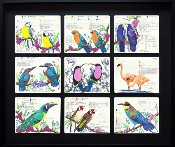 Fran Giffard, An Admiration, 2025