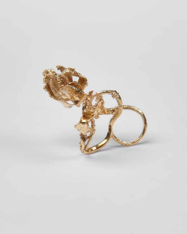 Galuh Anindita, Ashvini