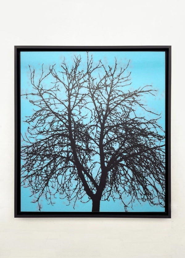 Ewan David Eason, Seasons Change: Winter to Blossom (small), 2023