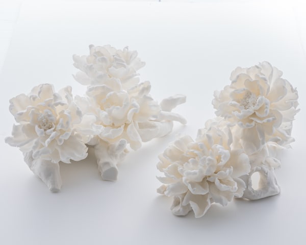 Leo Wong - White Dragon, 2022