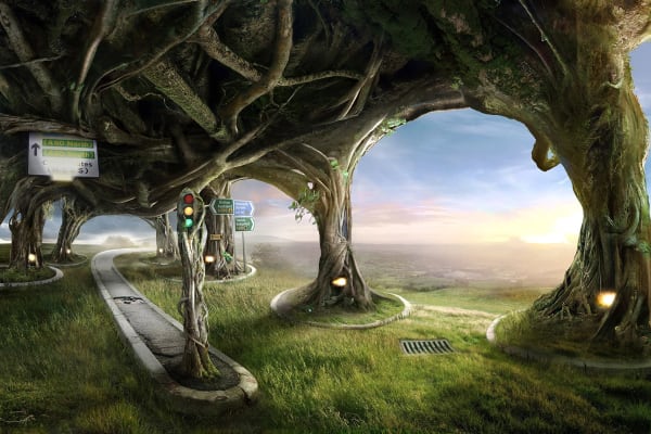 Barbara Nati, Inverted Kingdom #5