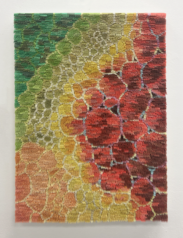 Jess Beaton - Cardamine, 2024