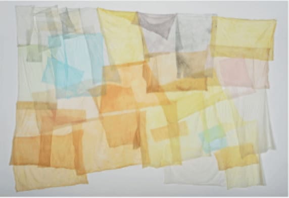 Liz Elton, After Image, Harvest, 2018