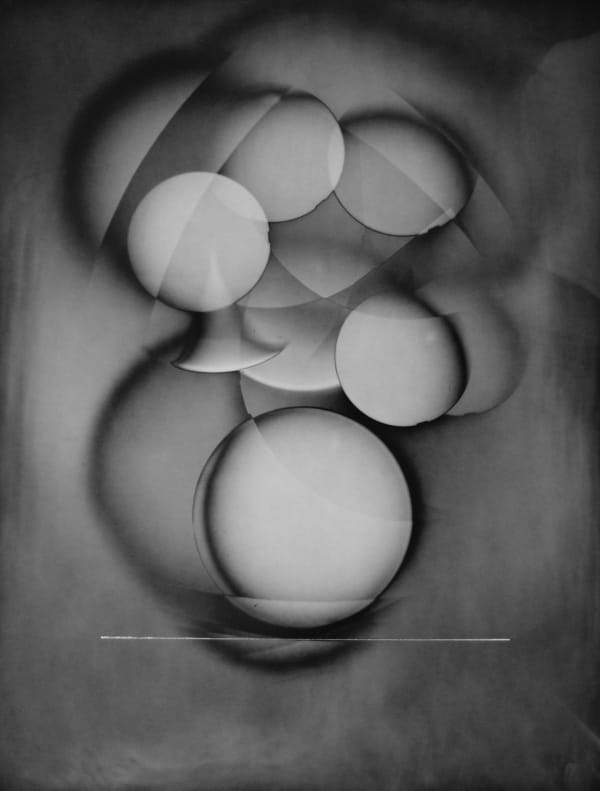 Michael G Jackson, Flowers #480, 2016