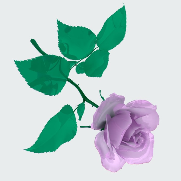 Hye Rim Lee, Rose of Sharon