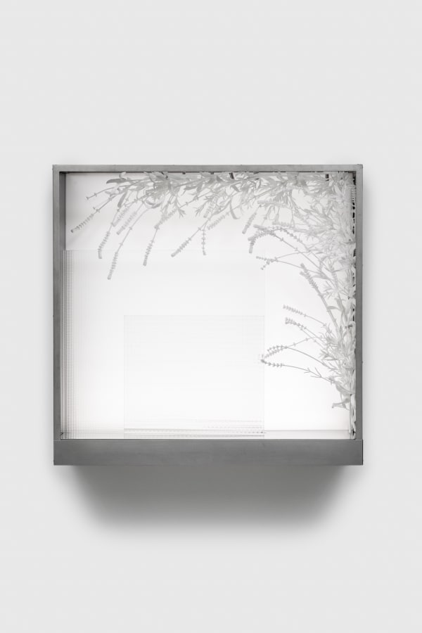 Kat Quay, ImageLayer_TheWildCalmsTheChild.tif (Lavender), 2024