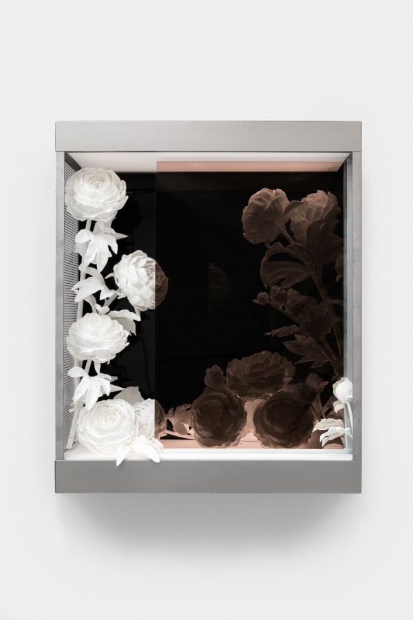 Kat Quay, ImageLayer_WhispersOfTheSoul.tif (Peony), 2024