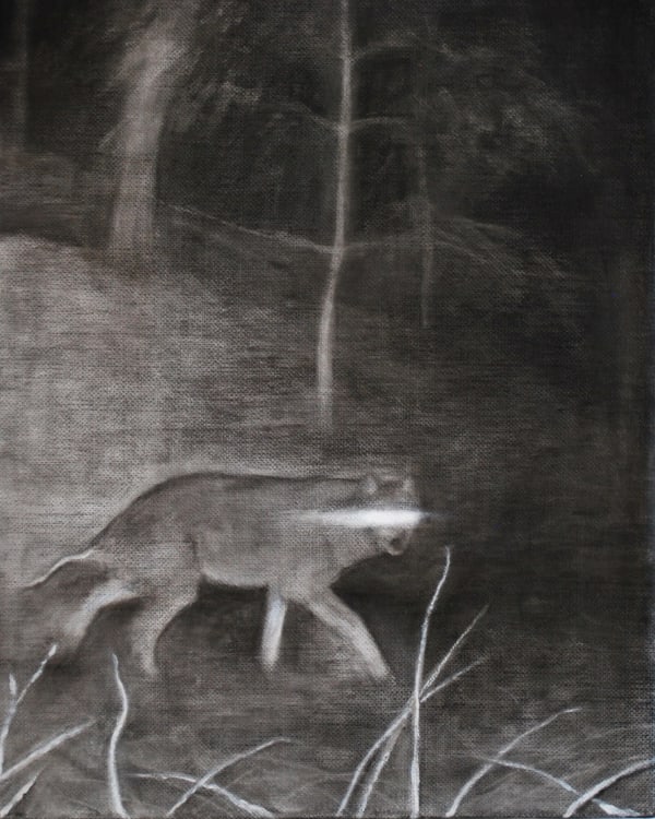 Natalie Zeunges, Mange, 2025