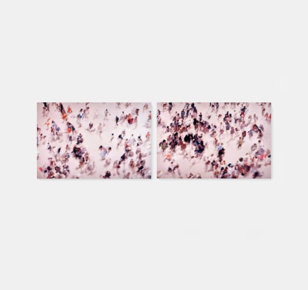 Imagine Our Flock (Diptych) , 2024