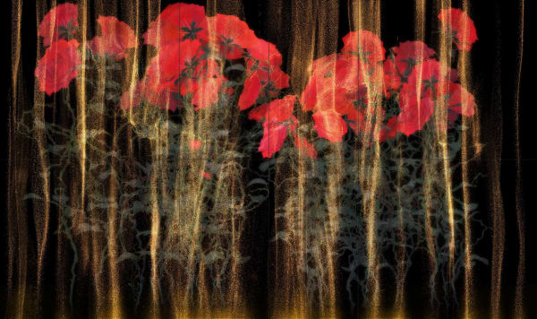 TeamLab Persistence of Life in the Sandfall, 2024 Interactive Digital Work, Endless