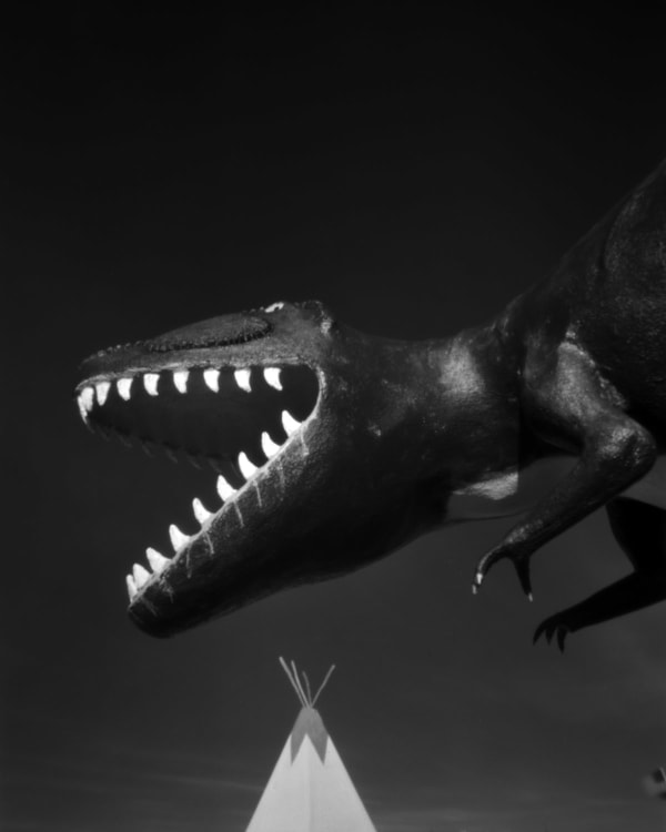 Cody S. Brothers, Dino and Teepee