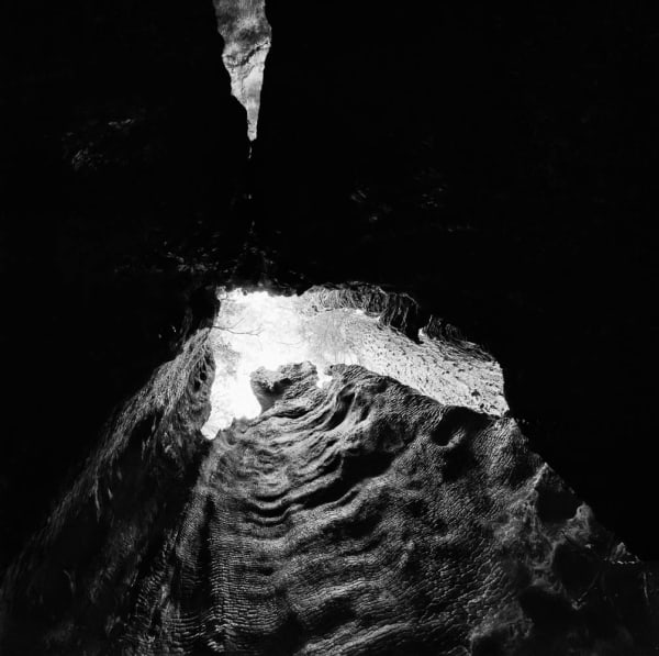 Stuart Rome, Praire Creek, CA, 2016/2022