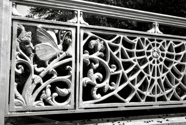 Marius Muresanu, Butterfly