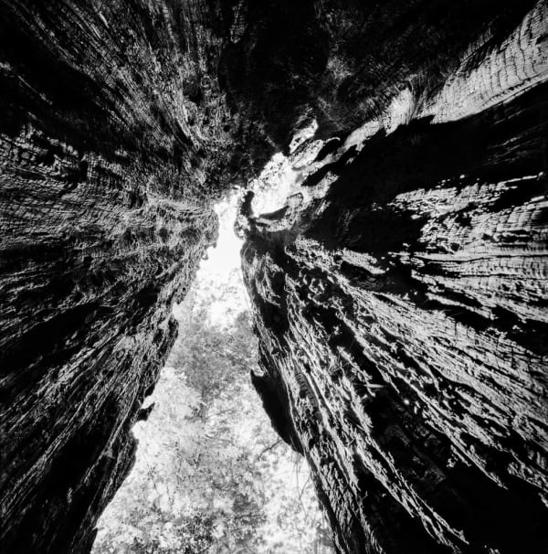 Stuart Rome, Prairie Creek, CA , 2016/2022