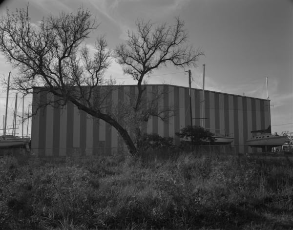 Lynn Whitney, Boatyard, Toledo Zoo Conversation, 2021