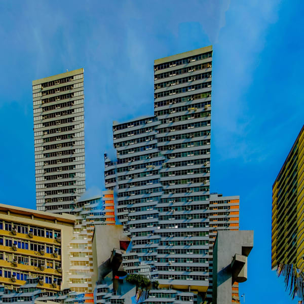 Brooks Williams, The Cutting Edge, 2023