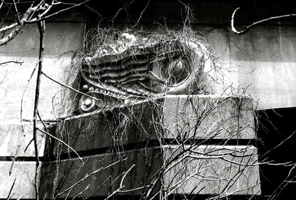 Marius Muresanu, Wheel of Fire