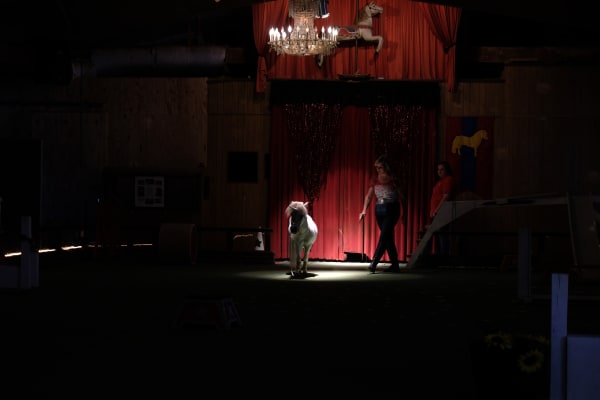 Marius Muresanu, The Saddest Unicorn in Gettysburg, PA, 2019