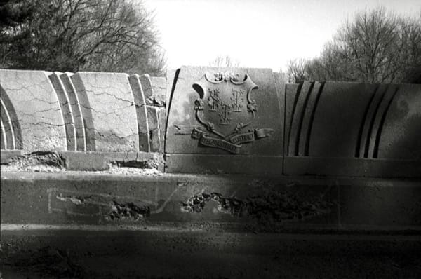 Marius Muresanu, Shield