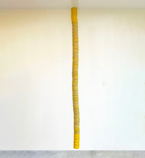 Christine Sullivan, Sprawl, 2025