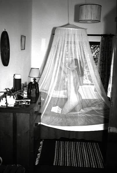 Marius Muresanu, Lake Naivasha