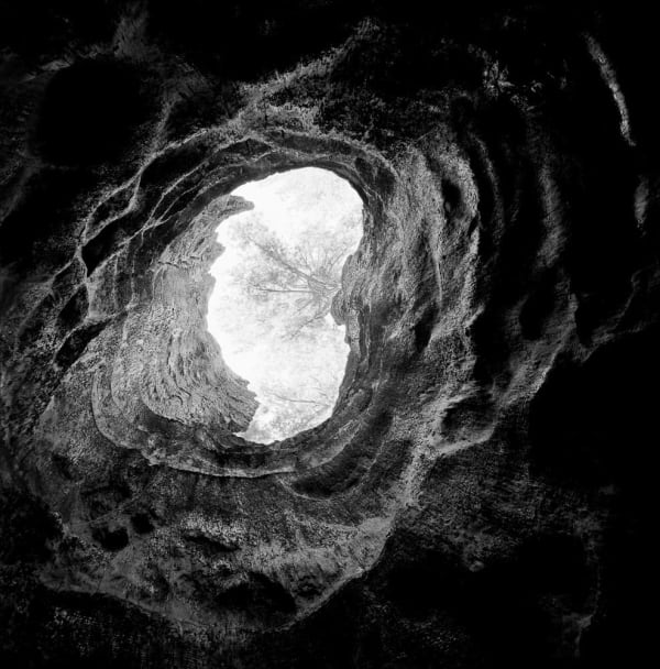 Stuart Rome, Bluto, Mariposa Grove (Yosemite, CA), 2021/2022