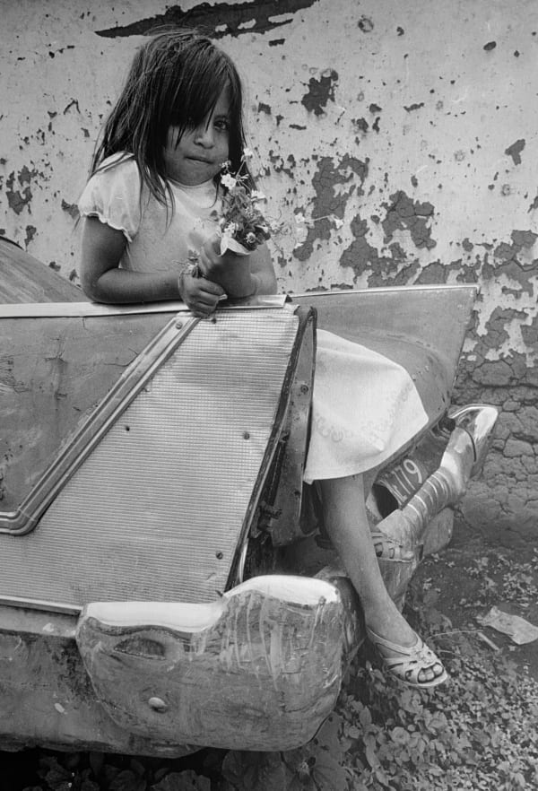 Joseph Lawton, Northern Mexico, 1985