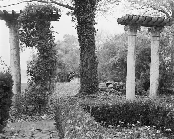 Lynn Whitney, Columns and Tree Bratenahl Estate, 2009