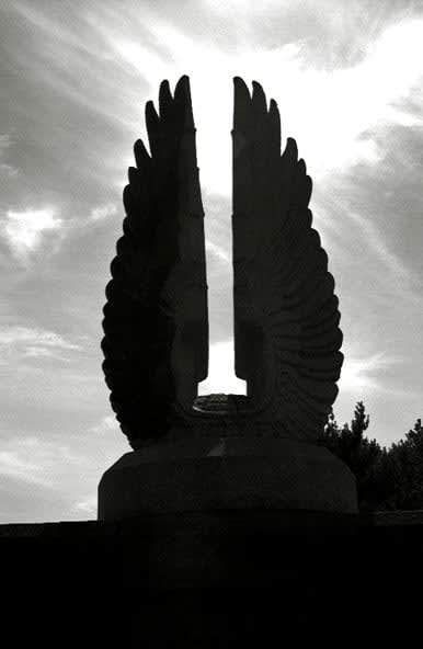 Marius Muresanu, Wings