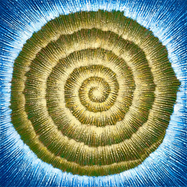 Shan Ogdemli Shell Spiral Mini, 2024 Acrylic and diatomaceous earth on wood. 8 x 8 x 2.5 in 20.3 x 20.3 x 7 cm Inspired by spirals in the shells of animals from the land and sea, in a color scheme symbolic of the Earth. The spiral is a geometric form that recurs across different natural phenomena from biological organisms to hurricanes, galaxies and our DNA.