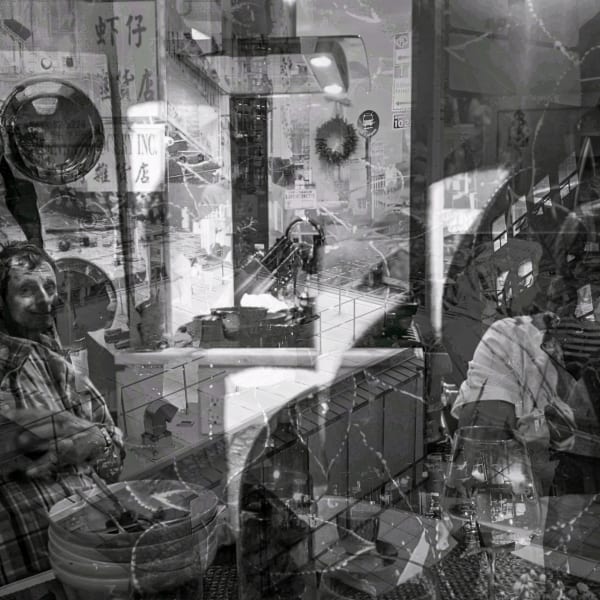 Brooks Williams, Veiled Narratives, 2023