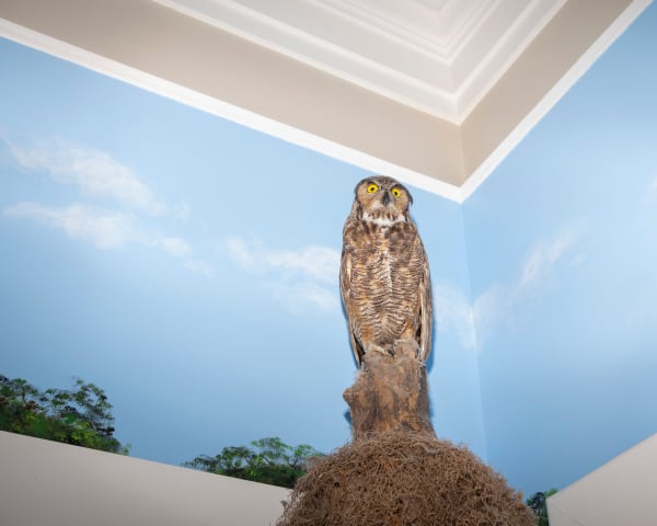 Elizabeth Bick Carolina Archival Inkjet print 16 x 20 Edition of 5 plus 2 artist's proofs