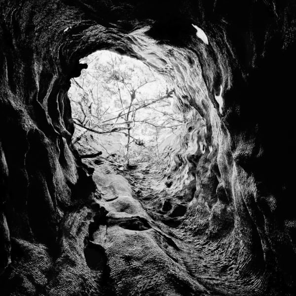 Stuart Rome, Prairie Creek, CA, 2016/2022