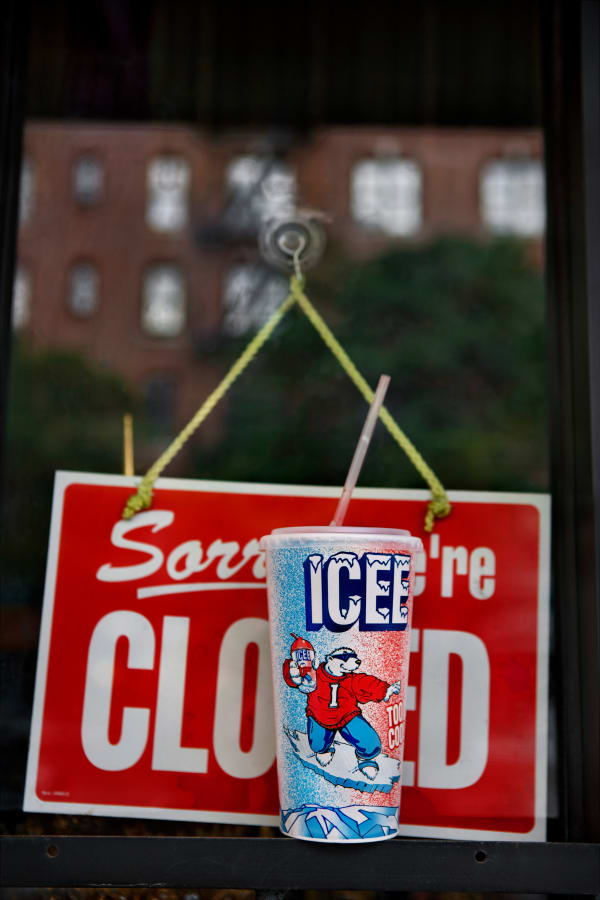 David Joseph, ICEE Bear , 2016