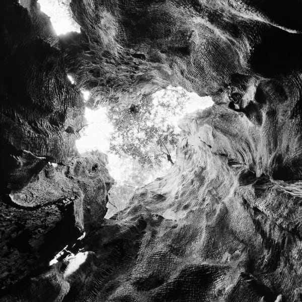 Stuart Rome, Prairie Creek, CA , 2016/2022