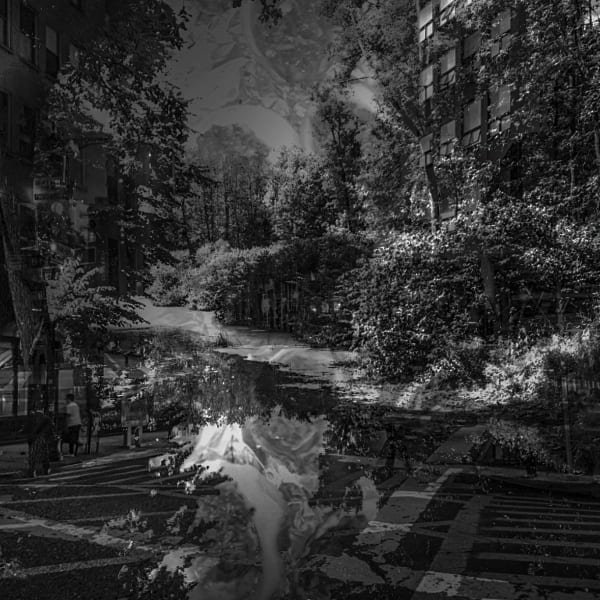 Brooks Williams, Silent Shadows, 2023