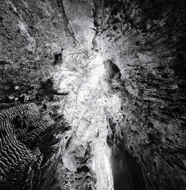 Stuart Rome, A Glad Day, after W.B. , 2010/2022