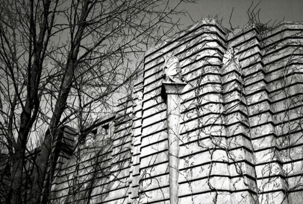 Marius Muresanu, Another Butterfly