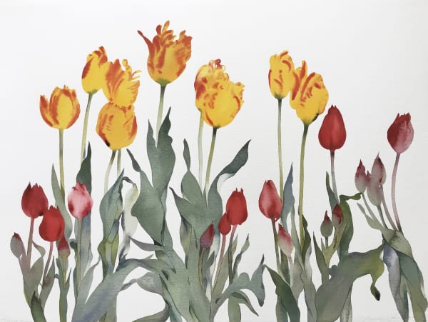 Susan Headley Van Campen, Tulips, May