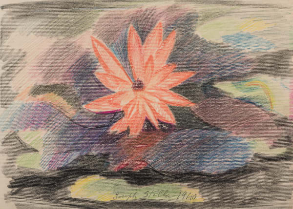 Joseph Stella, Pink Waterlily, 1940