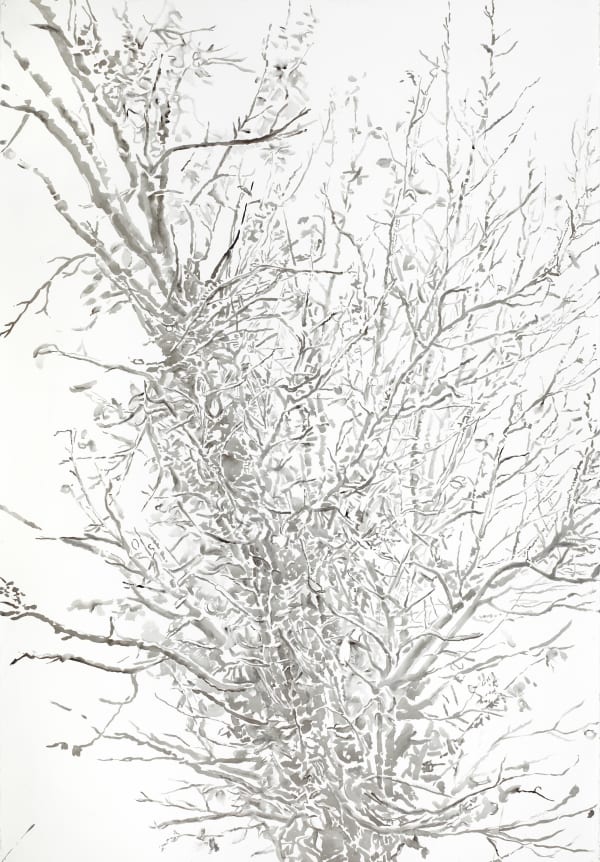 Emily Brown, Early Spring, 2015